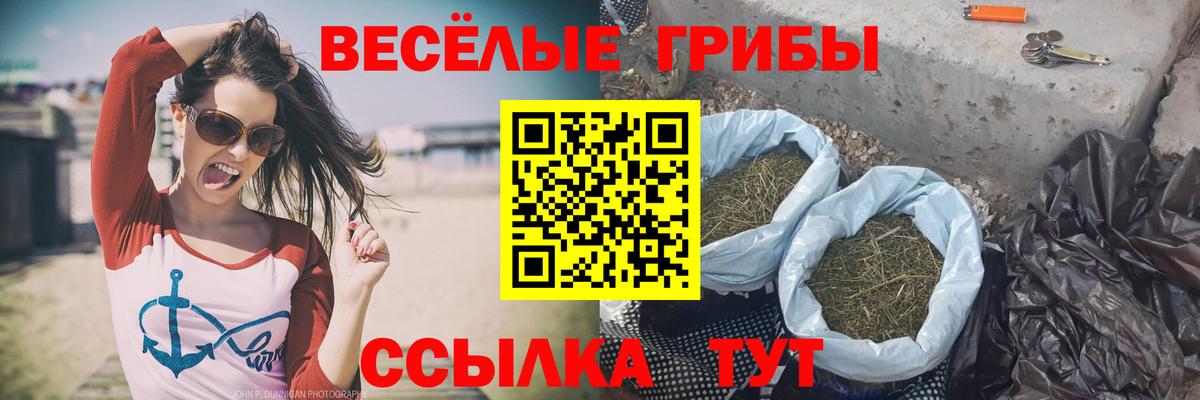 Острогожск  Галлюциногенные грибы мухоморы  Вход с VPN 