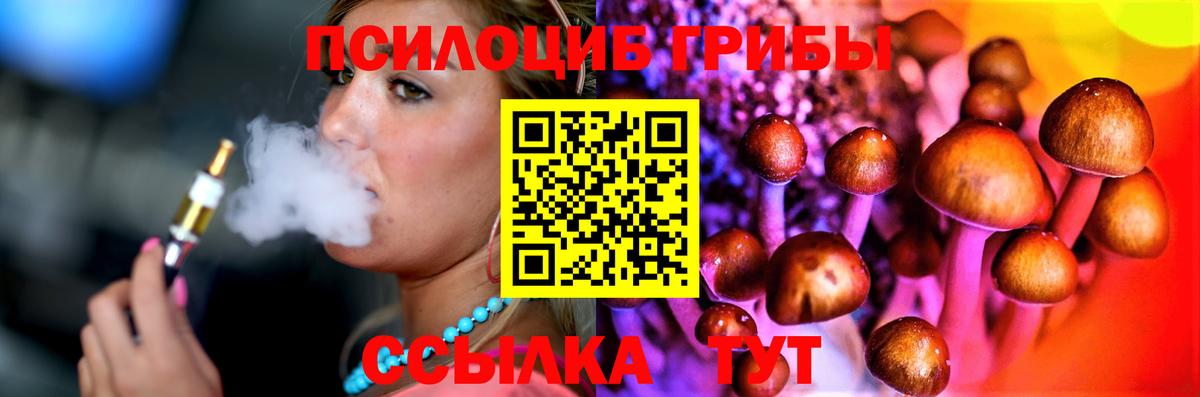 Галлюциногенные грибы Psilocybine cubensis Острогожск